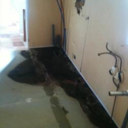 plancher avant